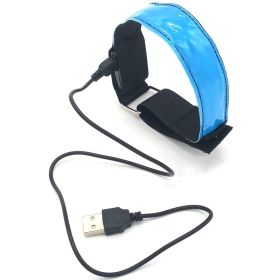 Luminous running arm belt (Option: Blue-USB)