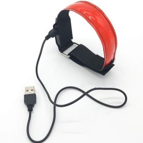 Luminous running arm belt (Option: Red-USB)